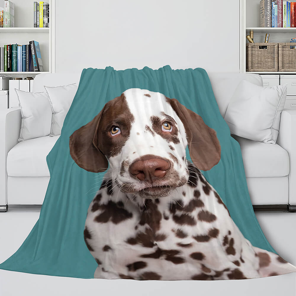 Flanell-Fleece-Decke für Haustiere, Welpen, Hunde, Dunelm-Bettwäsche, Steppdecke