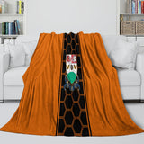 Laden Sie das Bild in den Galerie-Viewer, Barnet FC Blanket Flannel Fleece Throw Room Decoration