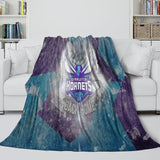 Laden Sie das Bild in den Galerie-Viewer, Charlotte Hornets Blanket Flannel Fleece Throw Room Decoration