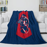 Laden Sie das Bild in den Galerie-Viewer, Cleveland Guardians Blanket Flannel Throw Room Decoration