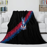 Laden Sie das Bild in den Galerie-Viewer, Crystal Palace Blanket Flannel Fleece Throw Room Decoration