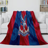 Laden Sie das Bild in den Galerie-Viewer, Crystal Palace Blanket Flannel Fleece Throw Room Decoration