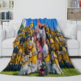 Laden Sie das Bild in den Galerie-Viewer, Despicable Me 4 Blanket Flannel Fleece Throw Room Decoration