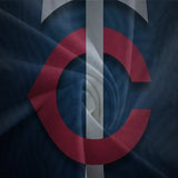Laden Sie das Bild in den Galerie-Viewer, Minnesota Twins Bedding Set Quilt Cover Without Filler