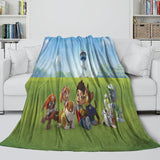 Laden Sie das Bild in den Galerie-Viewer, Paw Patrol 2025 Blanket Kids Flannel Throw Room Decoration