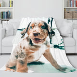 Laden Sie das Bild in den Galerie-Viewer, Flanell-Fleece-Decke für Haustiere, Welpen, Hunde, Dunelm-Bettwäsche, Steppdecke