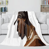 Laden Sie das Bild in den Galerie-Viewer, Tupac Amaru Shakur Flanell-Fleece-Decke